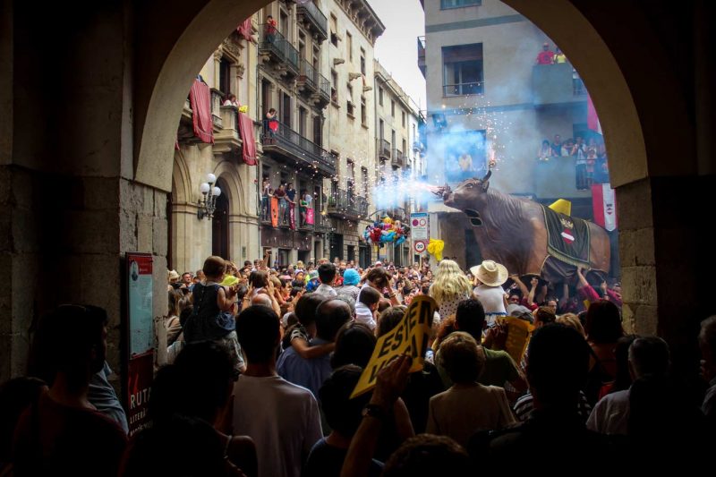 la mulassa Sant Joan, Valls, Juny 2018