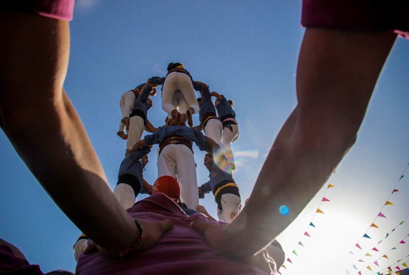 Marrecs de Salt a Sant Cugat, Juliol 2018