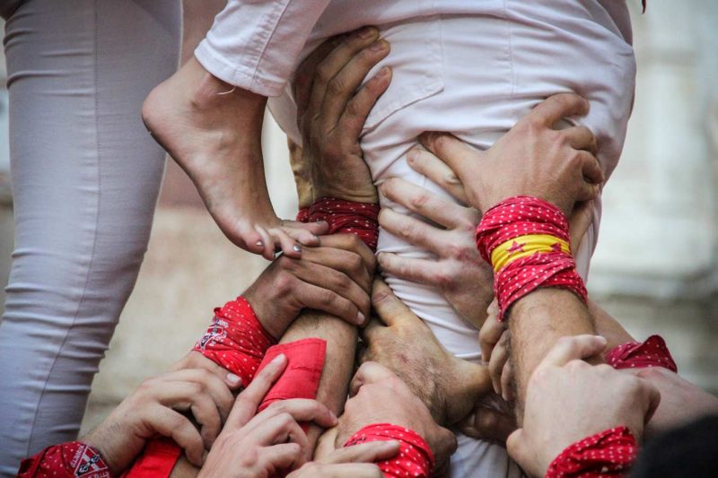 2de8 2d8 net sense folre colla joves