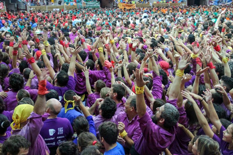 alegria moiiganguera