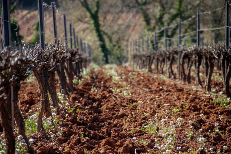 Santa Maria de Miralles Anoia