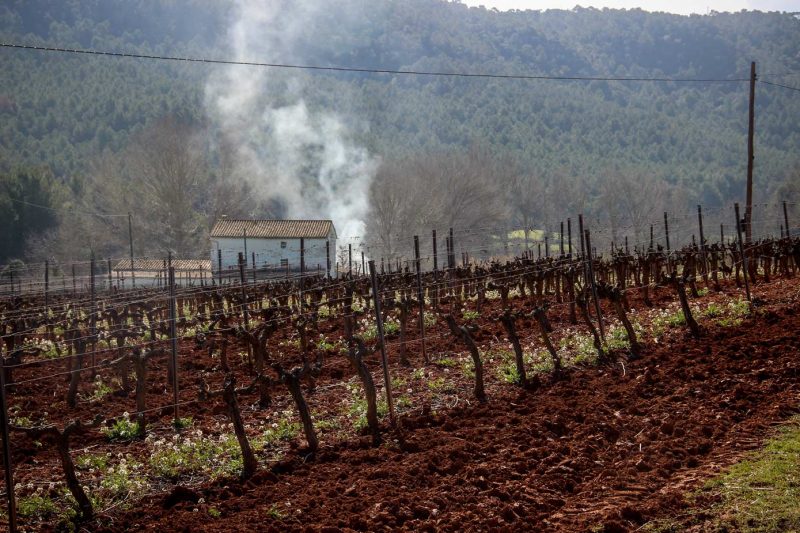 Santa Maria de Miralles Anoia