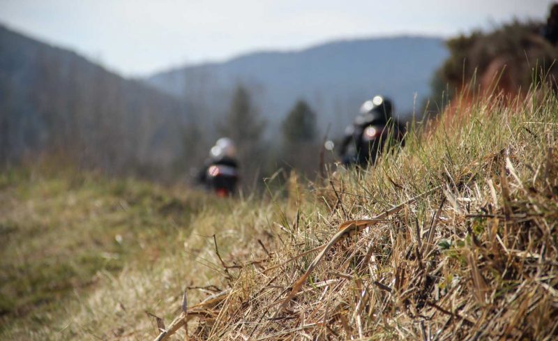 Santa Maria de Miralles Anoia