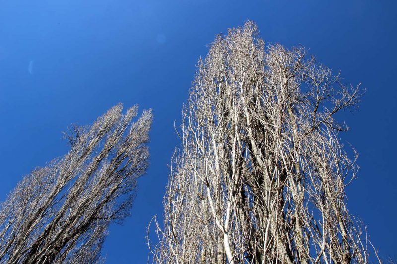 Santa Maria de Miralles Anoia