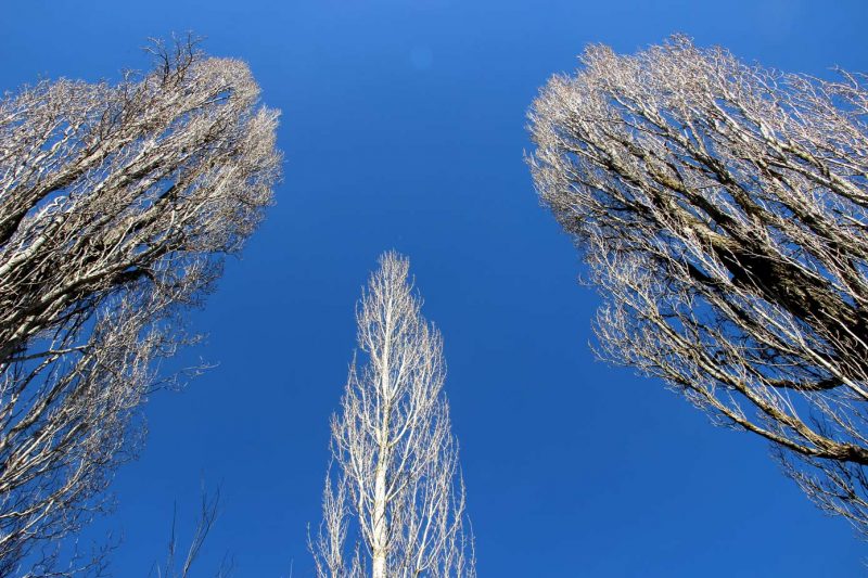 Santa Maria de Miralles Anoia