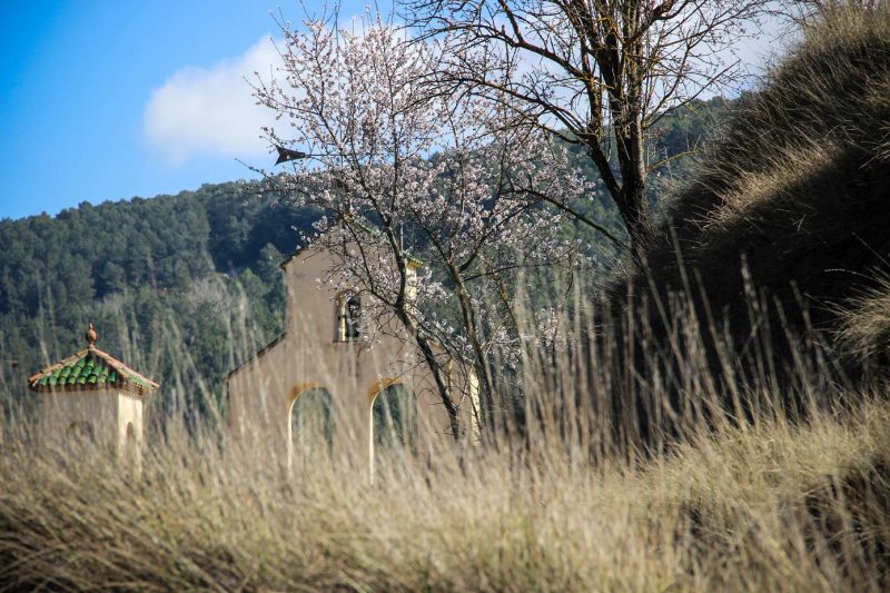 Santa Maria de Miralles Anoia