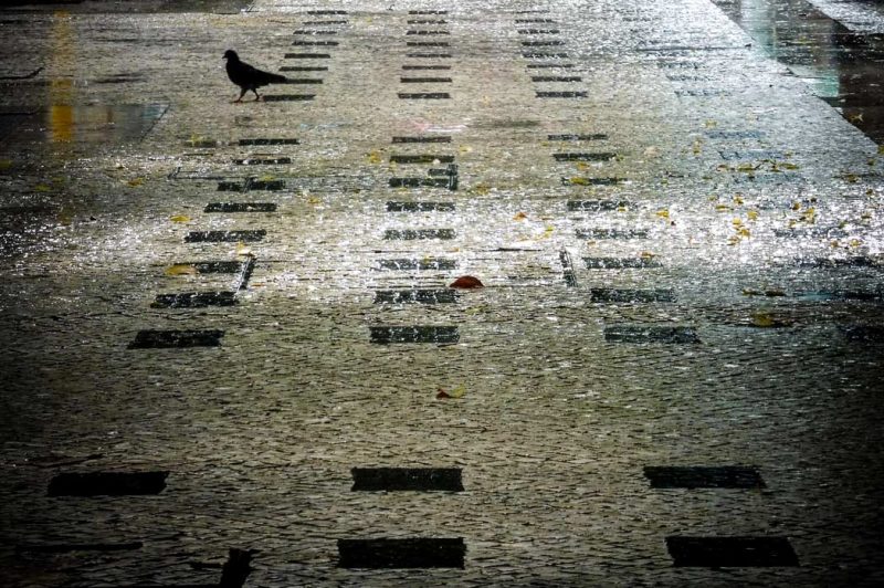 colom caminant rajoles carrers lisboa