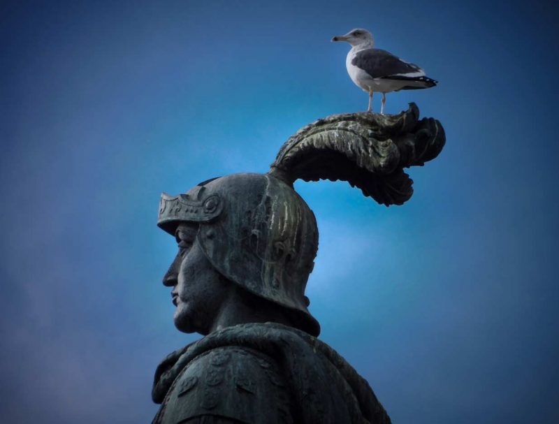 gavina i estàtua lisboa