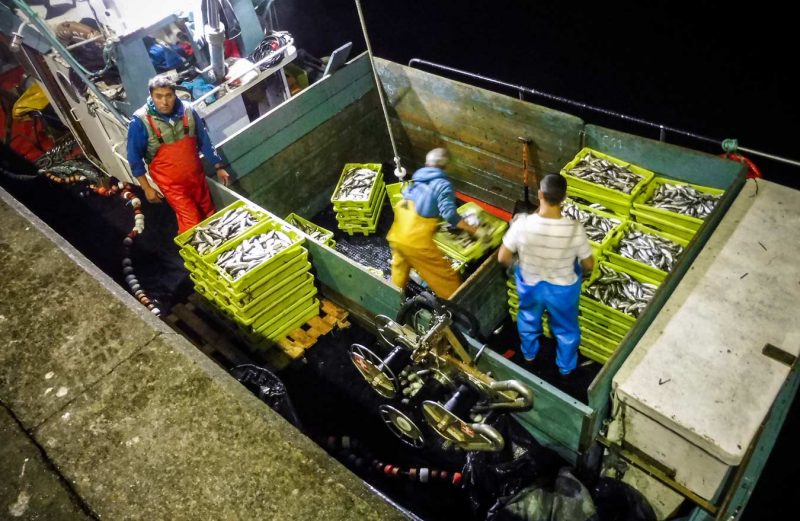llegada del pescado en vigo noche