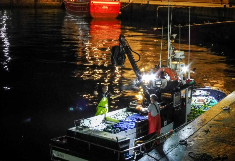 llegada del pescado madrugada vigo