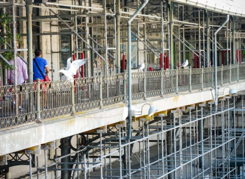 porto mercado do bolhao gaviotas y estructuras caos