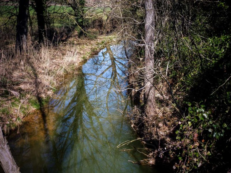 Santa Maria de Miralles Anoia