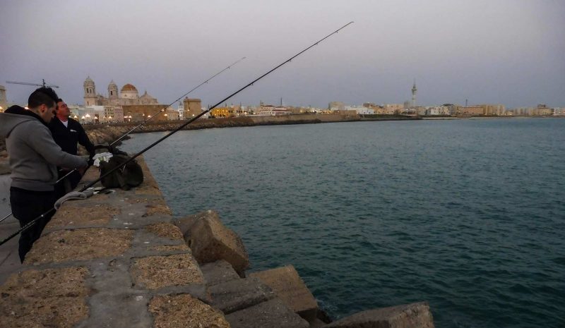 pescadores de caña de cádiz
