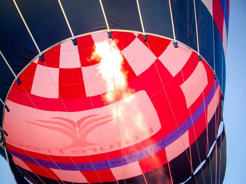 future tree balloon fire GAS