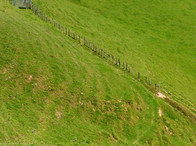 camps verds euskadi Olatz, Mutriku.