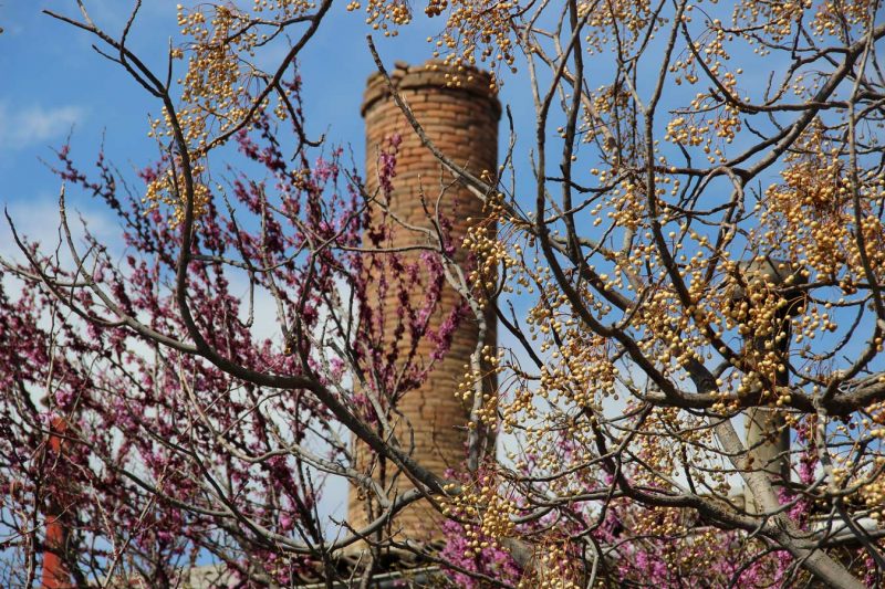 xemenei rec igualada vegetació de tardor