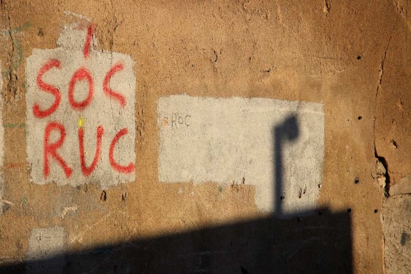 sóc ruc pintada rec igualada