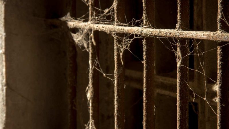 titaranys barana rec igualada