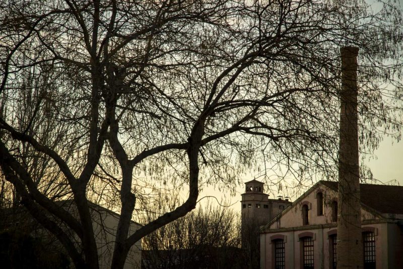 capvespre Museu de la Pell d'Igualada xemeneia
