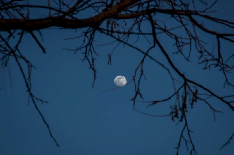 la lluma al rec igualada