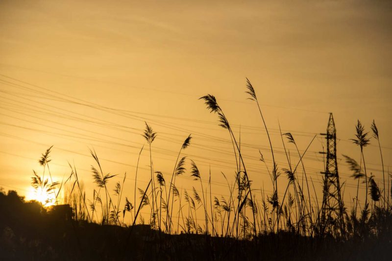 pasear por la ribera del río Anoia final de tarde