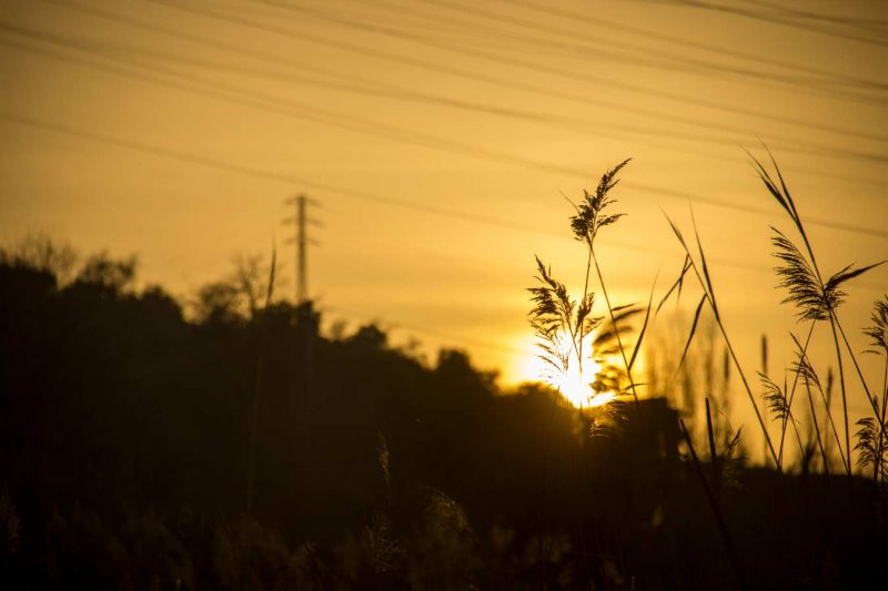 Es agradable pasear por la ribera del río Anoia