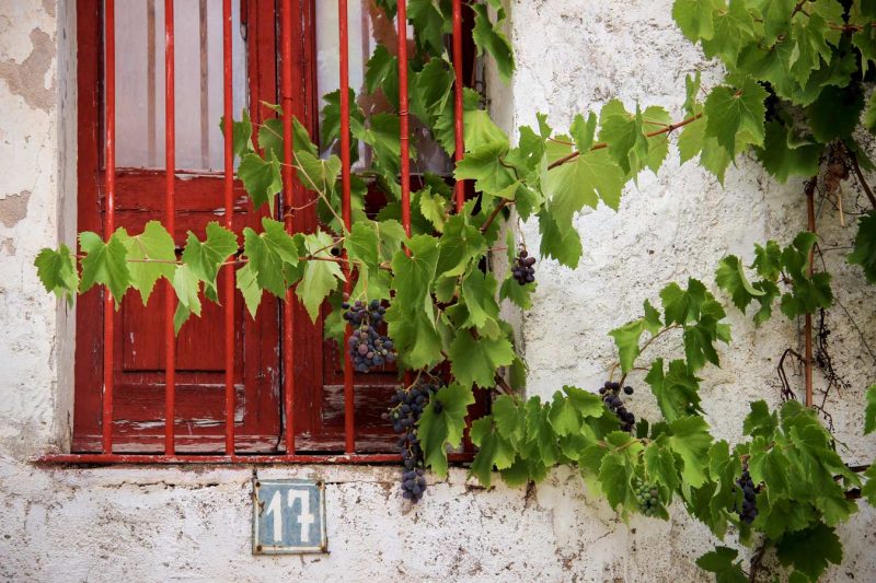 parres raïm carrer espluga de francolí conca de barberà
