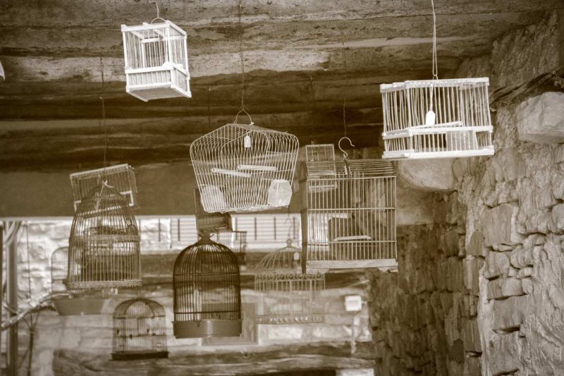 gàbies ocells a vigues carrer conesa conca de barberà