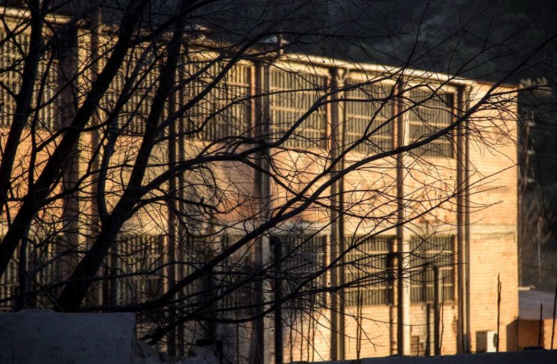 branques davant sol darrer tarda barri rec igualada