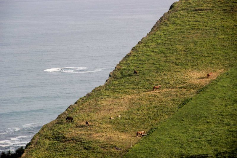 verd muntanya i mar a euskadi
