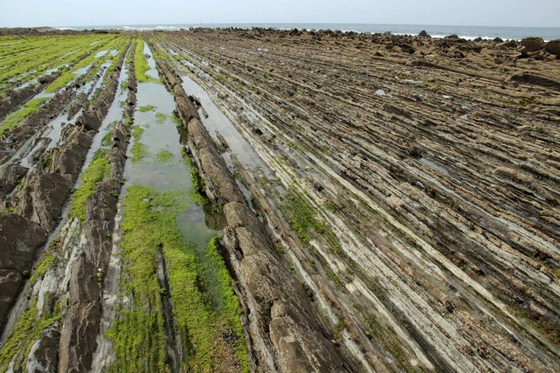 lineas al mar en sakoneta