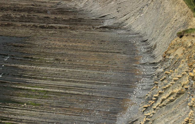 roques flor groga linies perfectes traçades al mar a sakoneta