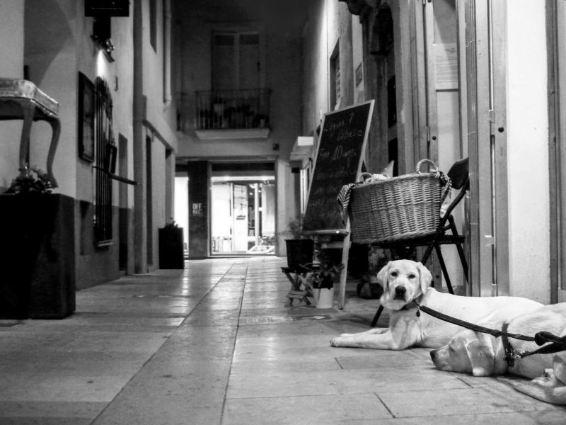 Passatge Capità Galí Igualada