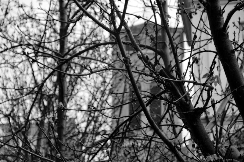 campanar Basílica de Santa Maria igualada