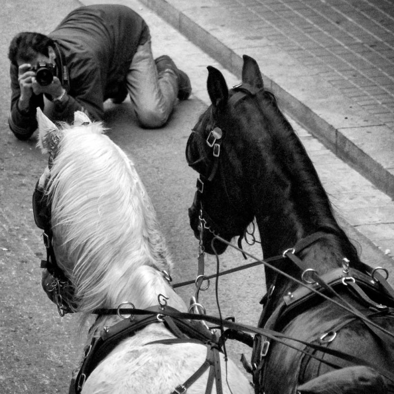 Tres Tombs caballs traginers igualada rambla
