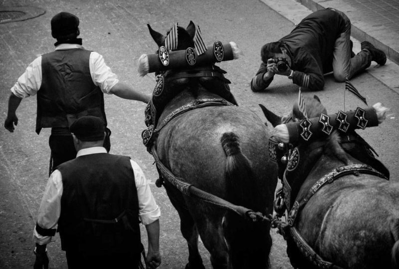 Tres Tombs caballs traginers igualada rambla carroses burrus
