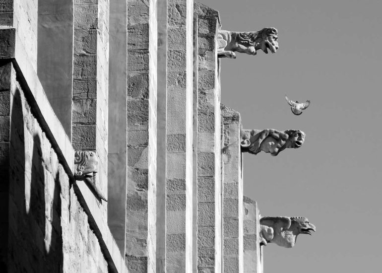 coloms gàrgoles basílica santa maria igualada