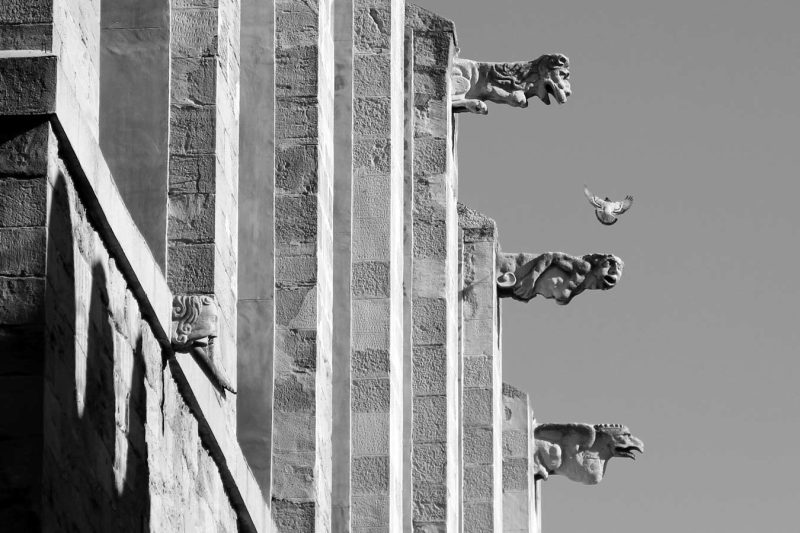 coloms gàrgoles basílica santa maria igualada