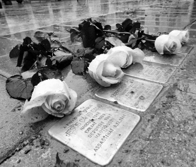 Plaques Stolpersteine, Plaça de l'Ajuntament igualada roses blanques