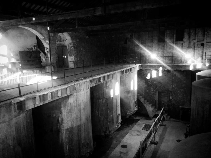 Celler Modernista del Sindicat de pagesos d'igualada cesar martinell